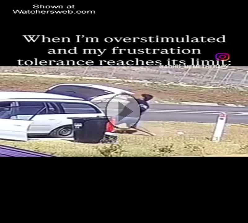 Hits The Limit