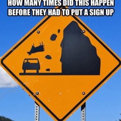 I Wonder