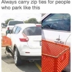 Always Carry Zipties