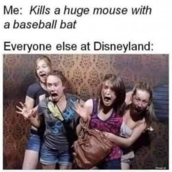 Disneyland