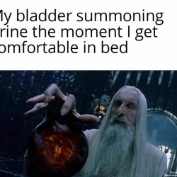 My Bladder