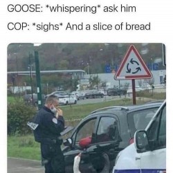 Ask Them